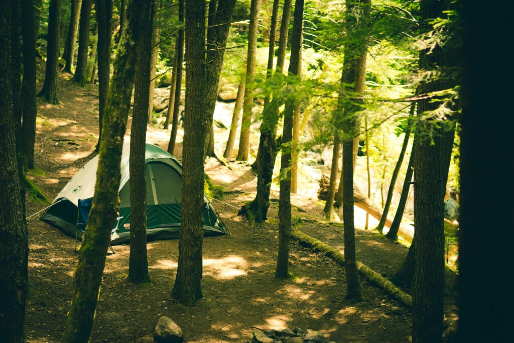 A serene camping setup with a tent nestled among tall forest trees, perfect for outdoor adventures.